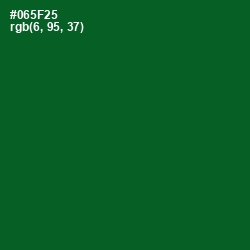 #065F25 - Kaitoke Green Color Image
