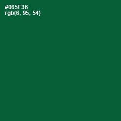 #065F36 - Sherwood Green Color Image