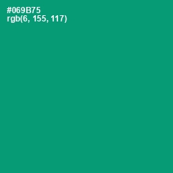 #069B75 - Observatory Color Image