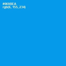 #069BEA - Dodger Blue Color Image