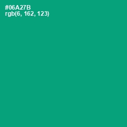 #06A27B - Jade Color Image