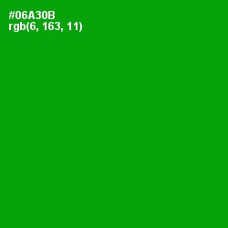 #06A30B - Forest Green Color Image