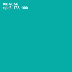 #06ACA6 - Persian Green Color Image