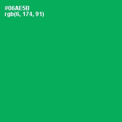 #06AE5B - Green Haze Color Image