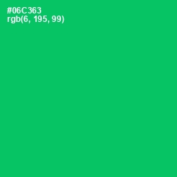 #06C363 - Malachite Color Image