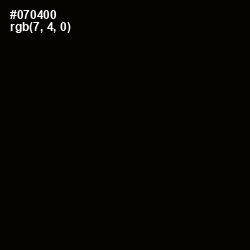 #070400 - Black Color Image