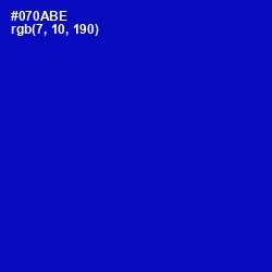 #070ABE - International Klein Blue Color Image