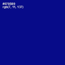 #070B89 - Navy Blue Color Image