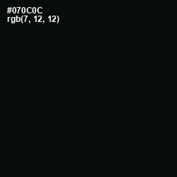 #070C0C - Cod Gray Color Image