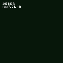 #07180B - Gordons Green Color Image