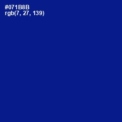 #071B8B - Ultramarine Color Image