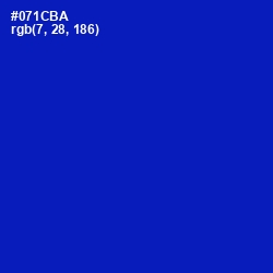 #071CBA - International Klein Blue Color Image