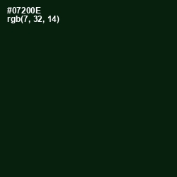 #07200E - Palm Green Color Image