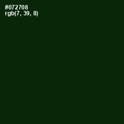 #072708 - Palm Green Color Image