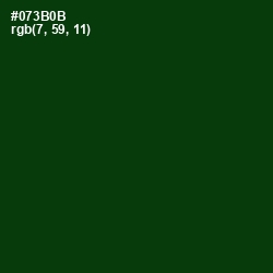 #073B0B - County Green Color Image