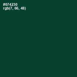 #074230 - Sherwood Green Color Image