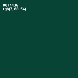 #074436 - Sherwood Green Color Image