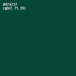 #074737 - Sherwood Green Color Image