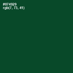 #074929 - Sherwood Green Color Image