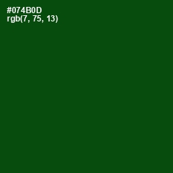 #074B0D - Dark Fern Color Image
