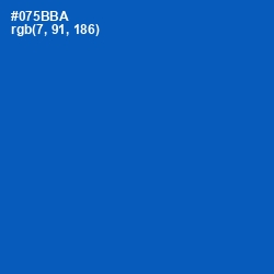 #075BBA - Endeavour Color Image