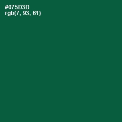 #075D3D - Sherwood Green Color Image