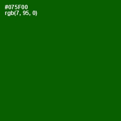 #075F00 - Dark Fern Color Image