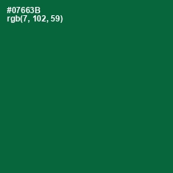 #07663B - Fun Green Color Image