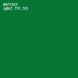 #077533 - Fun Green Color Image
