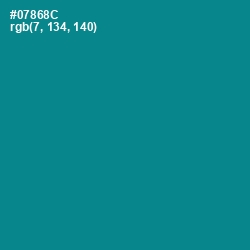 #07868C - Teal Color Image
