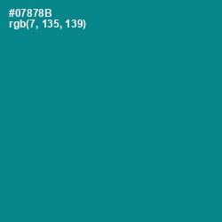 #07878B - Teal Color Image