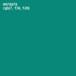 #078878 - Elf Green Color Image