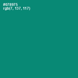 #078975 - Elf Green Color Image