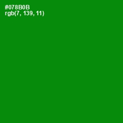 #078B0B - Forest Green Color Image