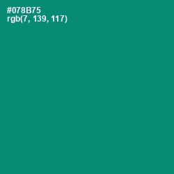 #078B75 - Elf Green Color Image