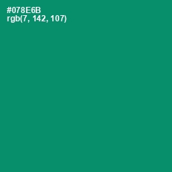 #078E6B - Observatory Color Image