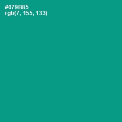 #079B85 - Gossamer Color Image
