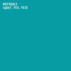 #079BA3 - Bondi Blue Color Image