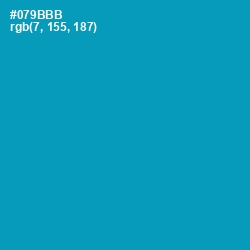 #079BBB - Bondi Blue Color Image