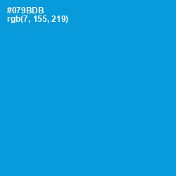#079BDB - Pacific Blue Color Image