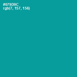 #079D9C - Blue Chill Color Image