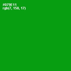 #079E11 - Forest Green Color Image