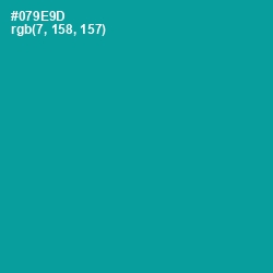 #079E9D - Blue Chill Color Image