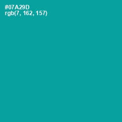 #07A29D - Persian Green Color Image