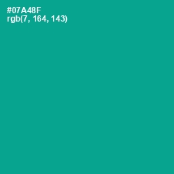 #07A48F - Niagara Color Image