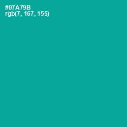 #07A79B - Persian Green Color Image