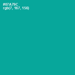 #07A79C - Persian Green Color Image