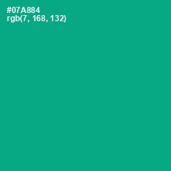 #07A884 - Niagara Color Image