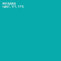 #07ABAB - Persian Green Color Image