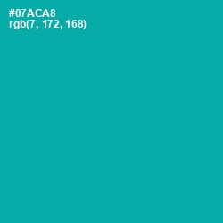 #07ACA8 - Persian Green Color Image